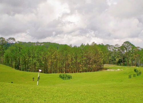 Ranikhet